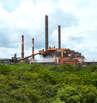 Vijayanagar plant